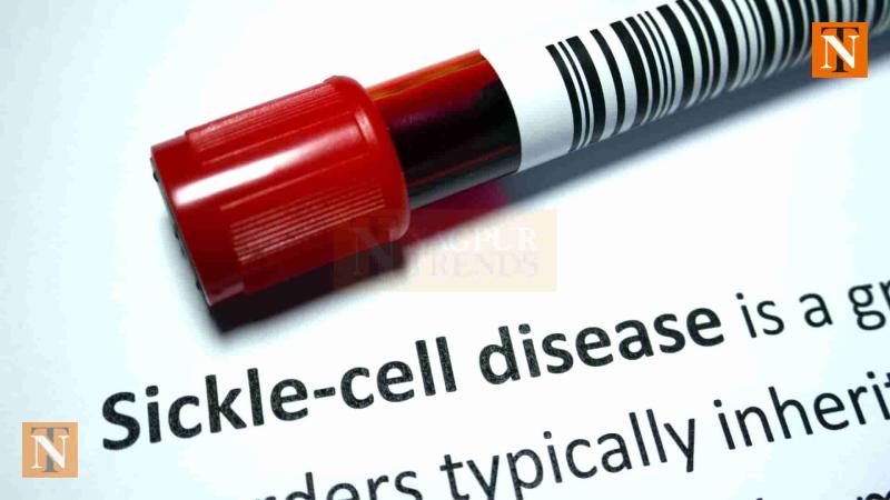 Call for Early Diagnosis Amid Surge in Sickle Cell, Thalassemia Cases in Nagpur